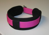 Vorschau: Clip-Switch-Hundehalsband mit variablem Zugstopp Vorschau: Clip-Switch-Hundehalsband mit variablem Zugstopp