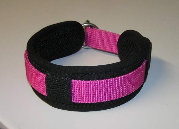 Clip-Switch-Hundehalsband mit variablem Zugstopp