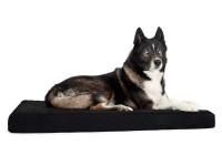Back on Track Hundematratze aus Memory Foam / Hundebett Back on Track Hundematratze aus Memory Foam / Hundebett