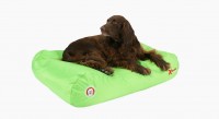 Doggy Bagg X-Treme - Hundebett - lemon green Doggy Bagg X-Treme - Hundebett - lemon green