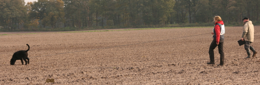 SK-Faehrtenleine-Reepschnur-Ispu-WM-2010