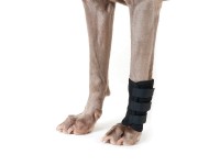 Vorschau: Back on Track - Gelenkschoner für Hunde / Gelenkbandage Vorschau: Back on Track - Gelenkschoner für Hunde / Gelenkbandage