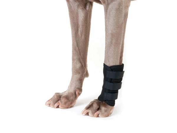 Back on Track - Gelenkschoner für Hunde / Gelenkbandage