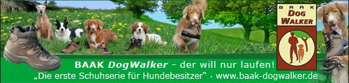 BAAK GmbH & Co.KG