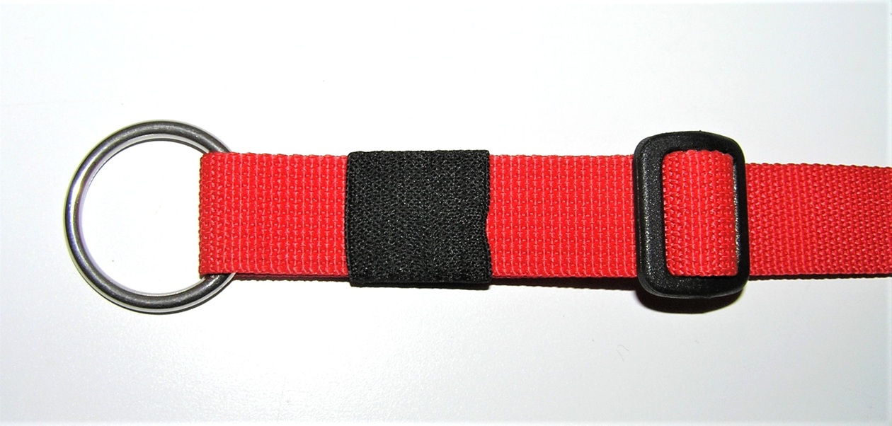 CS Gurt mit Koppelring und Gummischlaufe