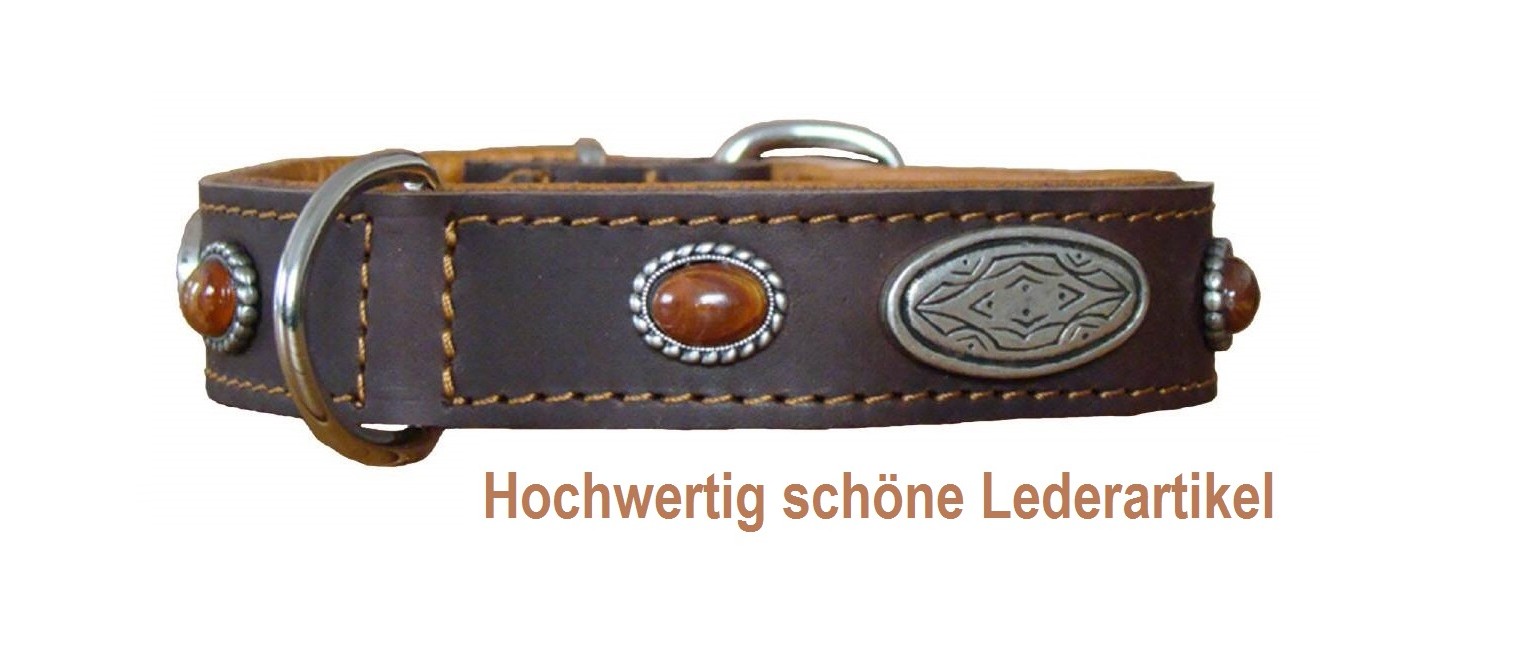 Lederhalsband Hundehalsband aus Leder Halsband mit Bernstein