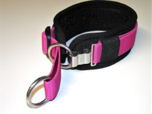 ClipSwitch Zugstopp Halsband gepolstert Hundehalsband