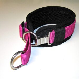 ClipSwitch Zugstopp Halsband gepolstert Hundehalsband