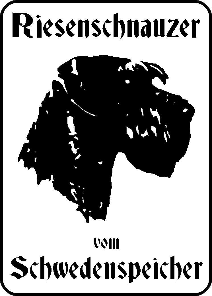 Riesenschnauzer Züchter für schwarze Riesenschnauzer Welpen vom Schwedenspeicher - VDH-/PSK-Zucht - Stade, Niedersachsen