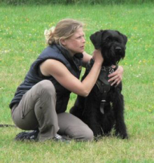 Riesenschnauzer schwarz vom schwedenspeicher Lotti Eva hp