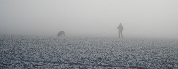 IPO FH LV HH Fährte im Nebel Riesenschnauzer in guter Erinnerung