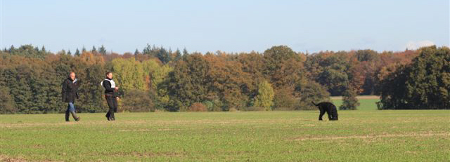 IMG 1610 1