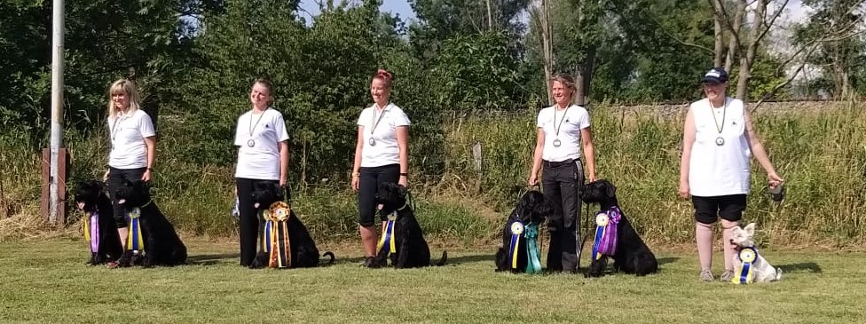 PSK Obedience DM 2019 Stader Starter