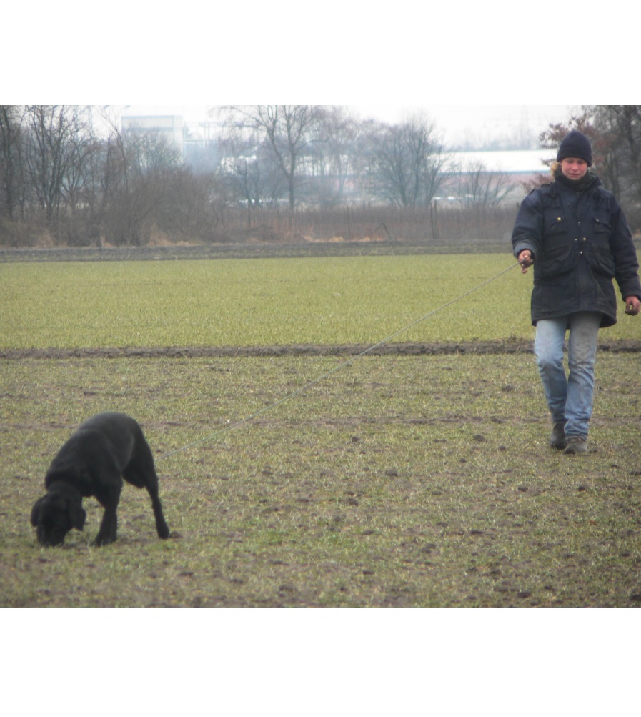Fährtenhundprüfung Maggy 2