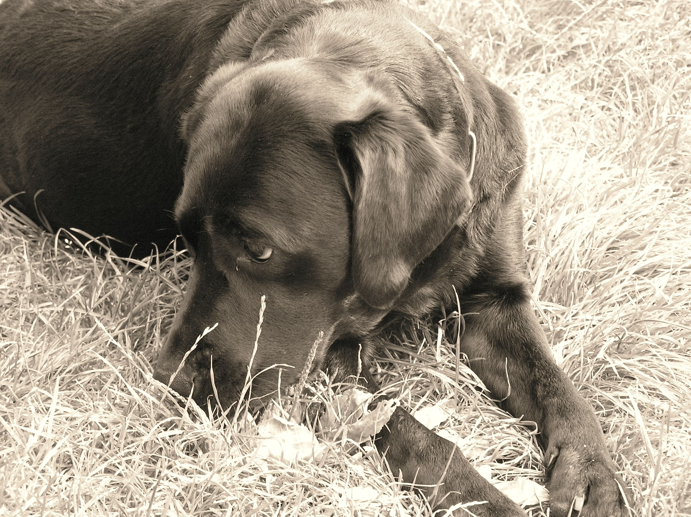 Maggy5