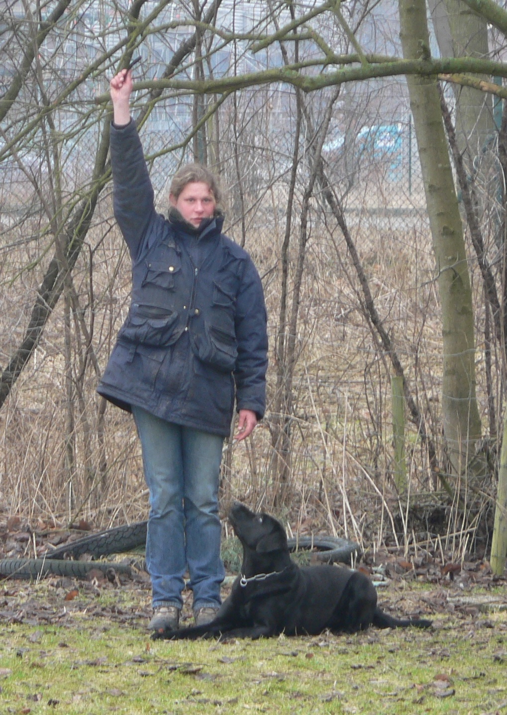 Stöberprüfung - Labrador Maggy