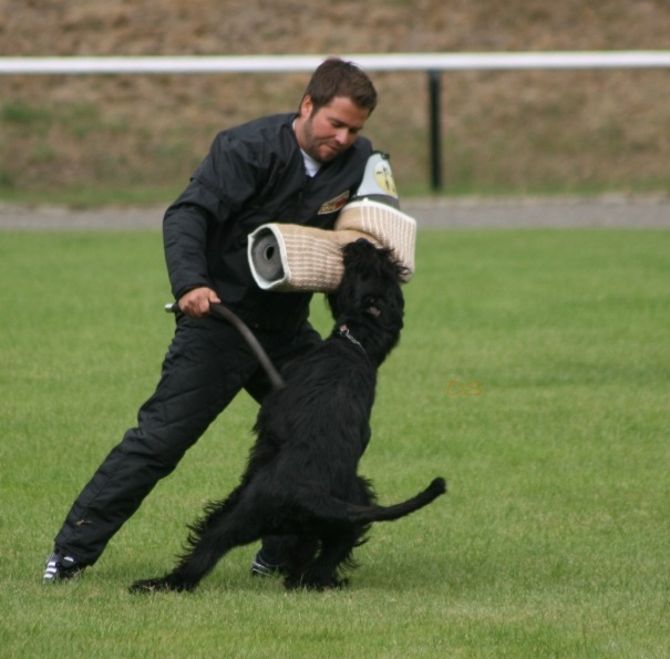 PSK DM 2013 Schutzdienst Birog 1