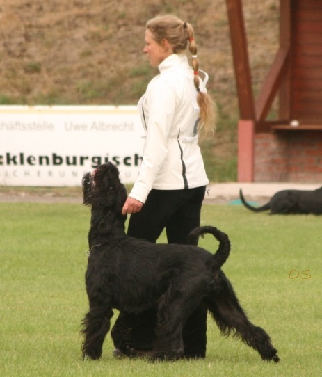 PSK DM 2013 Unterordnung Birog 1