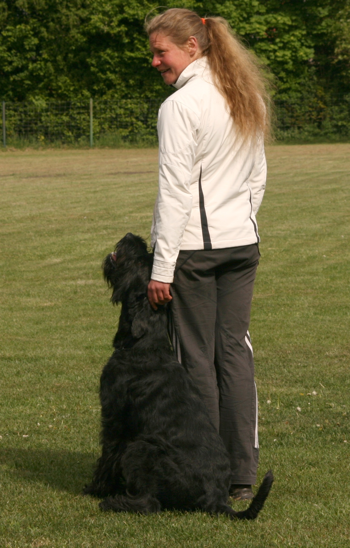 PSK LM 2014 8326 Hutschel 1