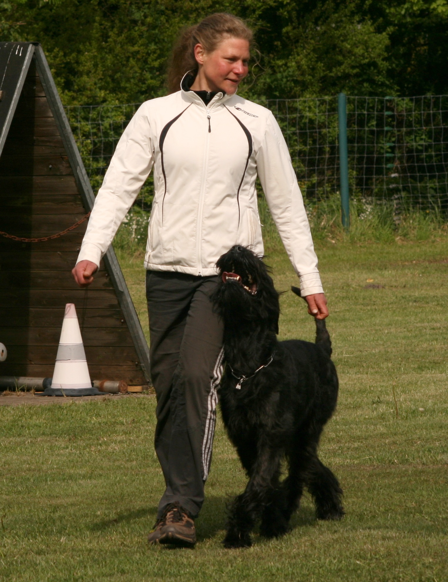 PSK LM 2014 8329 Hutschel 1