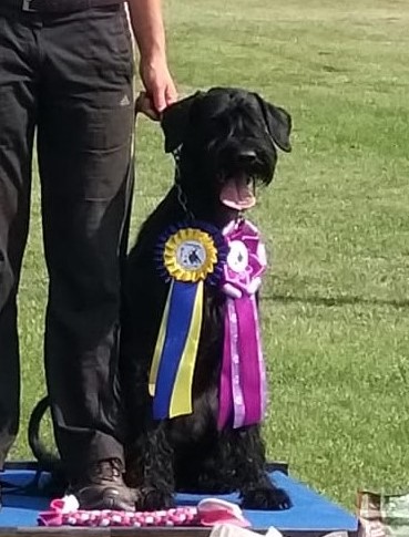 PSK Obedience DM 2019 Groodi Klasse1 1
