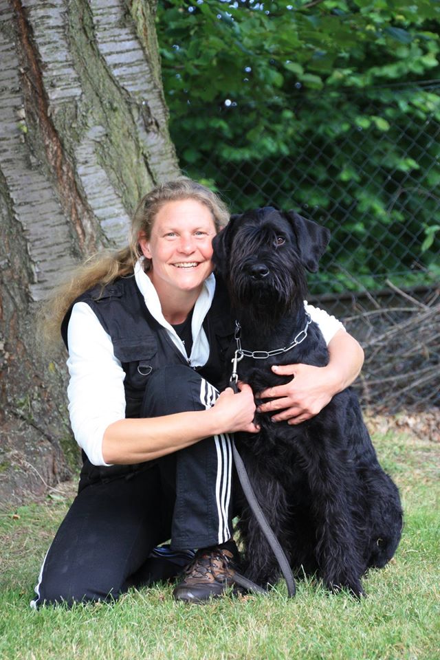 Riesenschnauzer Wini Länderpokal