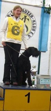 Riesenschnauzer Gundis vom Engelskotten Deutscher Meister der Fährtenhunde im PSK 2010