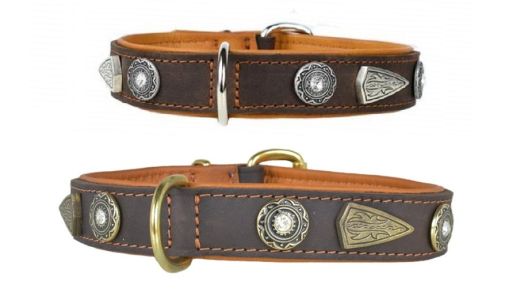 Schmuckhalsband mit Steinen und Nieten