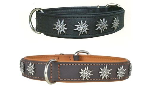 Halsband aus Leder EDELWEISS Nieten