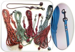 Schleppleine Fährtenleine Kurzführer Reepschnur Biothane 2