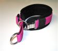 ClipSwitch Zugstopp Halsband gepolstert Hundehalsband