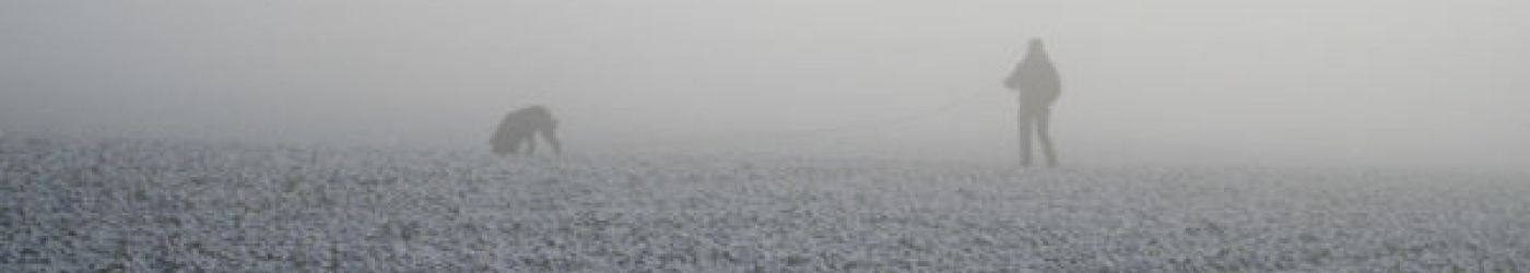 IPO FH LV HH Fährte im Nebel Riesenschnauzer in guter Erinnerung