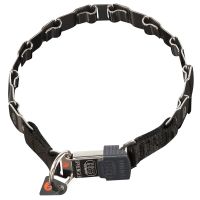 Sprenger NeckTech FUN Halsband mit Klickverschluss Edelstahl