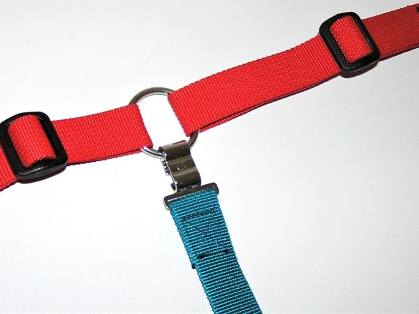 Gurte in einem Punkt mit Koppelring und CS Haken verbinden 03