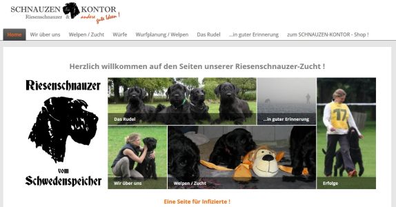 Riesenschnauzer vom Schwedenspeicher Zucht Seite