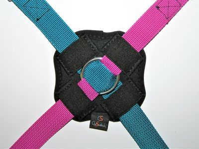 X Gurtverbindung Gurte über Kreuz mit 4 Punkt Gurtpolster