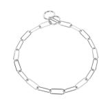 Sprenger Kette Kettenhalsband langgliedrig Stahl verchromt 2mm